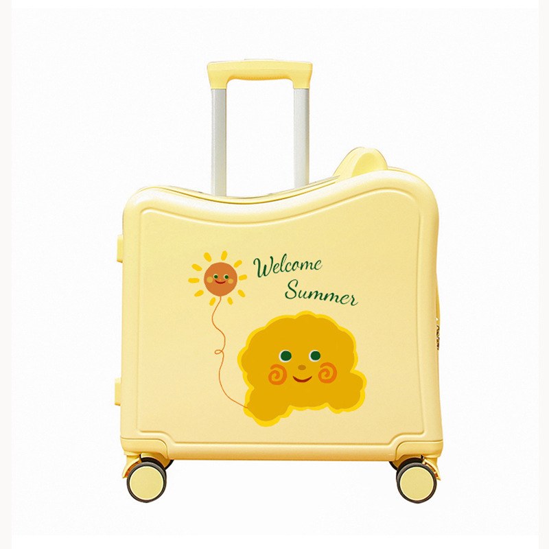 Cabin Luggage