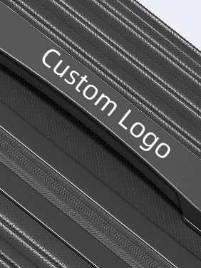 Handle Custom Logo